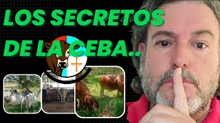 LOS SECRETOS DE LA CEBA [upl. by Alston]