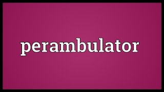 Perambulator Meaning [upl. by Ahilam]