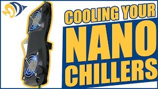 Cooling Your Nano Nano Chillers and Fans for Small Aquariums [upl. by Malachi887]