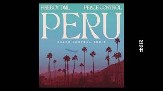 Fireboy DML  Peru Peace Control Remix [upl. by Anigriv]