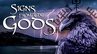 Norse Paganism  How to Interpret Signs from the Gods [upl. by Nivert624]