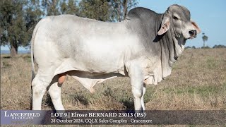 Lot 9  Elrose BERNARD 23013 PS [upl. by Nahsez477]