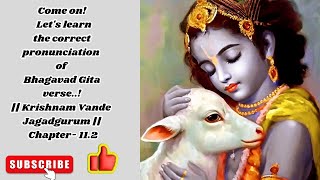 BhagavadGita Chant Series  chapter 112 [upl. by Ahsurej22]