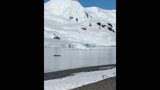 Biggest Mountain in ANTARCTICA 🇦🇶 [upl. by Neillij177]