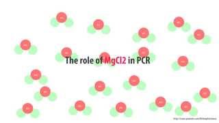 The role of MgCl2 in PCR  simple animated HD [upl. by Anoyi]