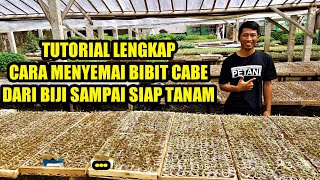 TUTORIAL LENGKAP MEMBUAT BIBIT  CABE CARA MENANAM CABE [upl. by Blunk]