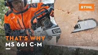 STIHL MS 661 CM  Chainsaw Cuttingedge technology  Thats why [upl. by Drusy]