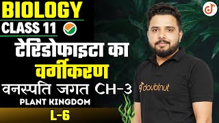 Classification of Pteridophytes  वनस्पति जगत Class 11 Biology Chapter 3  Plant Kingdom  L  6 [upl. by Akeyla]