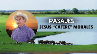 PASAJES LLANEROS DE JESÚS CATIRE MORALES [upl. by Lunneta]