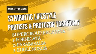 Symbiotic lifestyle Protists and protozoan taxonomy Supergroup Excavata [upl. by Yerfdog]