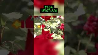 ፅጌሬዳ ቴድሮስ ታደሰ በግጥም tsegereda tedros tadesse with lyrics [upl. by Tiemroth]