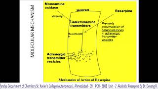 Video Lecture 9 Reserpine [upl. by Ramirolg]