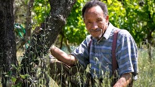 Conférence  quotÉloge de la frugalitéquot par Pierre Rabhi [upl. by Aerbua]