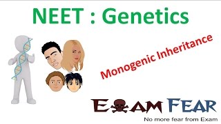 NEET Biology Genetics  Monogenic  Mendelian Inheritance [upl. by Tewell]