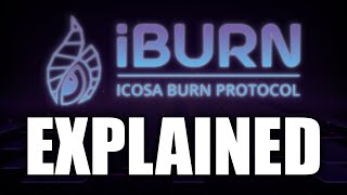 iBURN Protocol Explained [upl. by Gloriana]