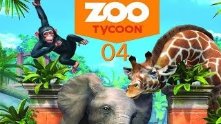 Xbox One Zoo Tycoon  Mode Libre 4  Oh le bel Ours [upl. by Smaj]