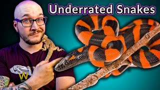 Top Five MOST Underrated Snakes That You Didnt Even Know Existed [upl. by Chane122]