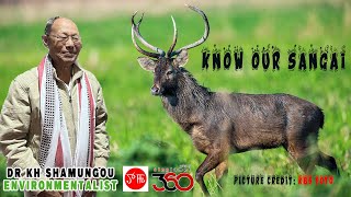 Exclusive Interview About Sangai  Brow Antlered Deer  Dr Khangembam Shamungou [upl. by Coben]