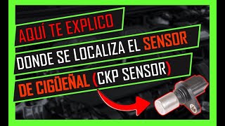 ✅Dónde Va El SENSOR DE CIGÜEÑAL CKP 👉🏻Ubicación Del Sensor De Posición Del Cigueñal [upl. by Glynn243]