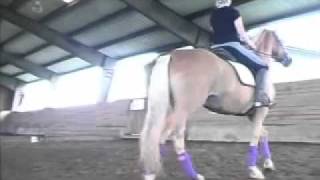 Beginner Dressage Rider Learns About Using the Hips to Turn the Horse [upl. by Yrahca]