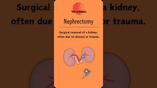 Nephrectomy The Essentials of Kidney Removal [upl. by Phip]