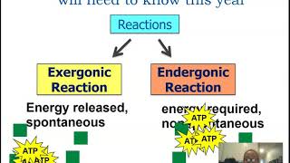 Metabolic Pathways amp Energy AP biology 34 [upl. by Ettevets837]