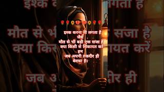 💔🥀क्या किसी से💘 शिकायत करें हम।💔🥀💯✅shayarivideo sadshayaristatus Loveshayariy6c [upl. by Enitsirt]