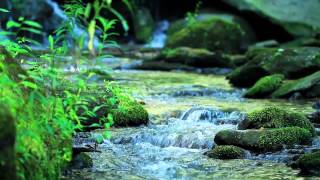 Nature Sounds Without Music  10Minutes of a Mountain Stream [upl. by Clarisse666]