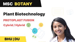 Protoplast Fusion  Cybrid  Hybrid  Plant Biotechnology  BHU  DU MSc Entrance  In Hindi [upl. by Naujad]