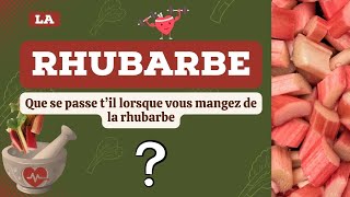 La rhubarbe 11 bienfaits SOUSESTIMÉS de la rhubarbe pour la santé [upl. by Luing]