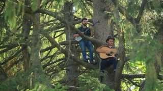 Evergreen  The Okee Dokee Brothers [upl. by Tnayrb]