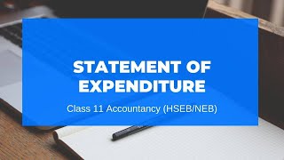 Statement of Expenditure  Grade 11  AccountHSEBNEB [upl. by Yllut653]