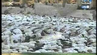 the first Salah from Shaykh maher muaqly in mecca [upl. by Cimbura]