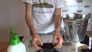 Sowing Peppermint Seeds [upl. by Ieso]