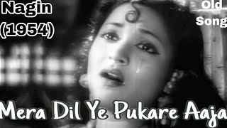 Mera Dil Ye Pukare AajaNagin1954Lata MangeshkarVyjayanthimalaJeevanPradeep KumarBabita Devi [upl. by Sackman346]