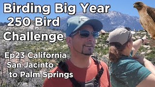 250 Bird Challenge in California San Jacinto to Palm Springs Ep23 [upl. by Orly636]