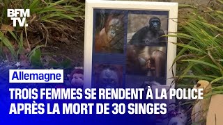 Trois femmes se rendent à la police après lincendie qui a tué 30 singes en Allemagne [upl. by Nrobyalc331]