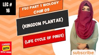 Ch09  Kingdom Plantae  Lecture  16  Life Cycle Of Pinus riffatjahan [upl. by Belloir994]