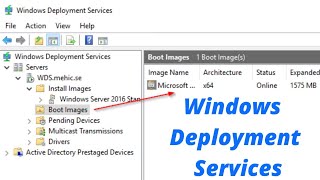 Windows Server 2016  WDS  Windows Deployment Services  PXE Boot  Lan Boot  In Hindi [upl. by Enovi910]