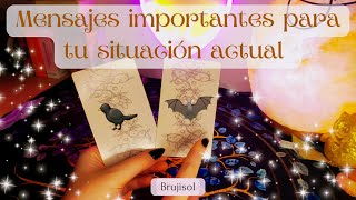 Mensajes para tu situación actual  ¿🐦‍⬛o🦇 Elige tu grupo ✨🔮💫 [upl. by Anelys]