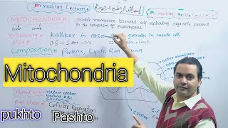 Mitochondria  Biology  Class 11  Dr Mushtaq Pashto Lectures [upl. by Annoval273]