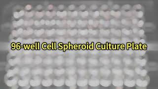 Cell spheroids culture plate [upl. by Nemaj]