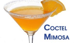 Coctel Mimosa Perfecto Para Cualquier Hora [upl. by Yddet]