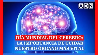 Día Mundial del Cerebro la importancia de cuidar nuestro órgano más vital [upl. by Tandi244]