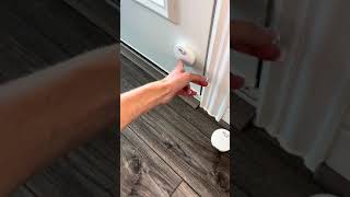 Honest Review of Mighty Paw Smart Bell 2 0 Dog Doorbells [upl. by Kcirdneh]