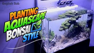 Planting Aquascape Bonsai Style [upl. by Earezed874]