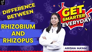 Difference between Rhizobium and Rhizopus  CBSE Class 8  YOUR CLASS  Arisha Mam shorts ytshorts [upl. by Digirb]