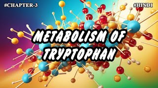 Chapter  3  Metabolism Of Amino Acids  Tryptophan Metabolism Part8  Hindi [upl. by Krakow701]