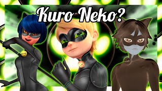 QUEM VAI SER Kuro Neko Teoria  Miraculous Ladybug [upl. by Eiznekcm]