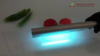 How to Use UVC Wand  The UV Light Sanitizer to Protect from Virulent Particles [upl. by Ladiv657]